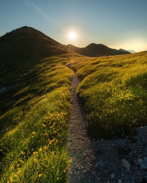 Path