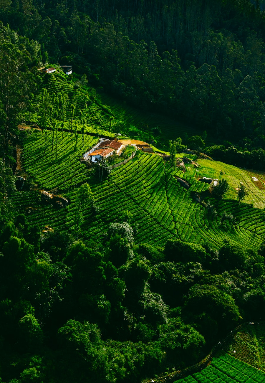 Ooty Guide