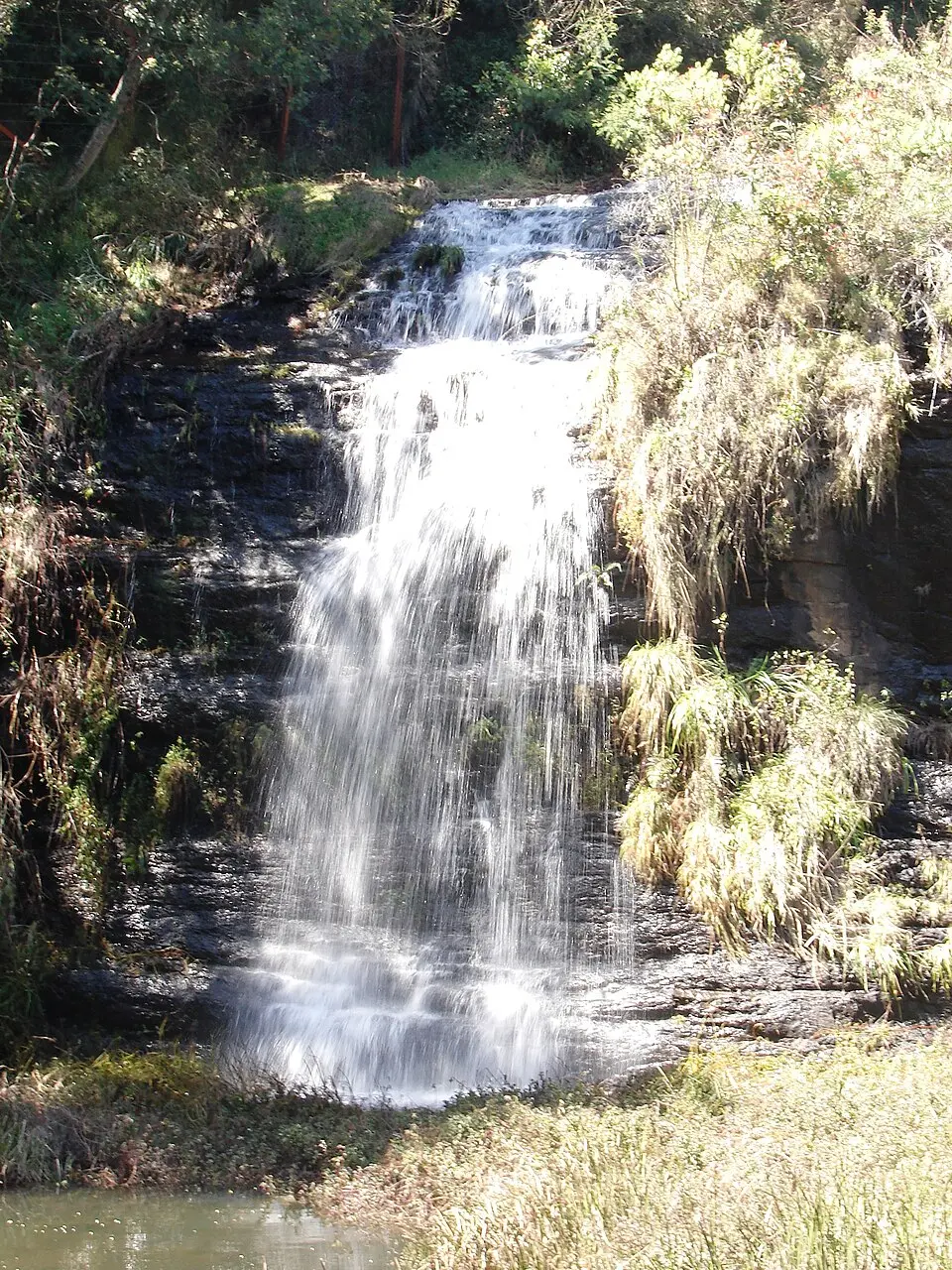 Fairy Falls surrounded by eucalyptus trees in Kodaikanal