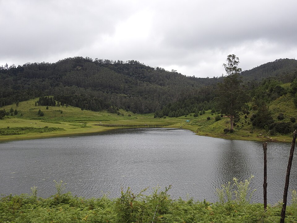 Mannavanur lake view with green meadows and hills in the background, Kodaikanal