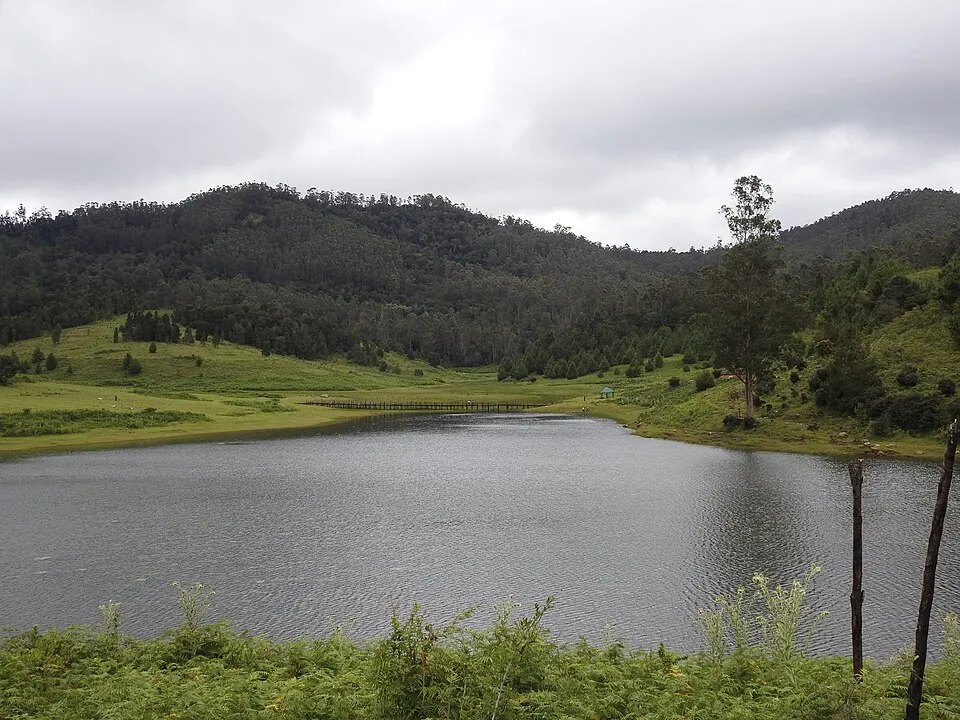 Mannavanur lake view with green meadows and hills in the background, Kodaikanal