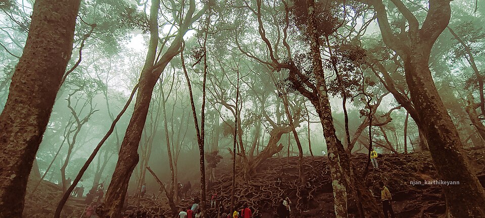 Inside view of Guna cave, Kodaikanal