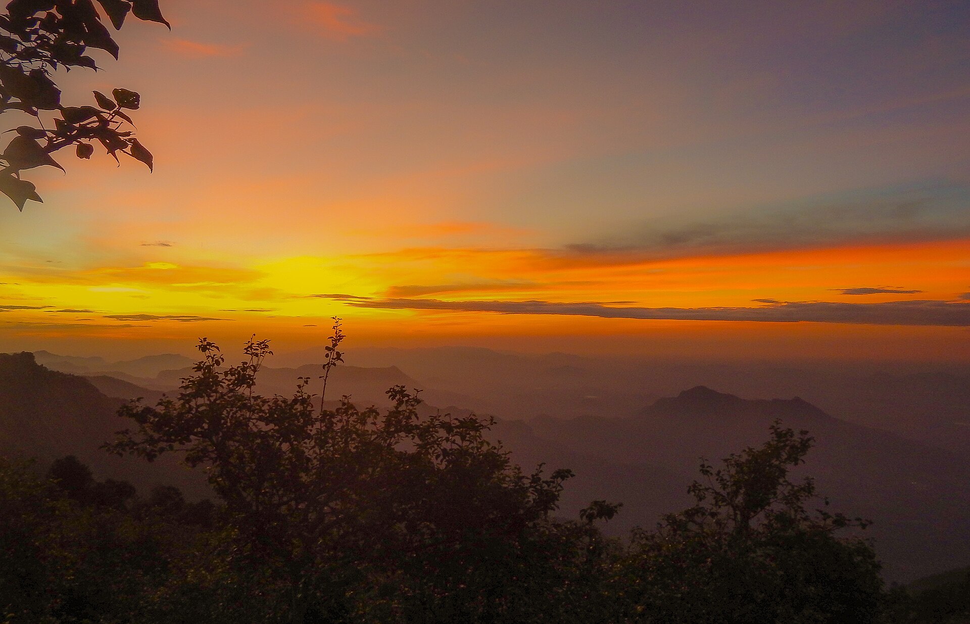 Vattakanal Ridge at sunrise, peaceful hillside view