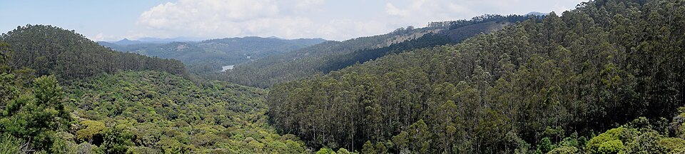 Panoramic view of Berijam Lake, Kodaikanal