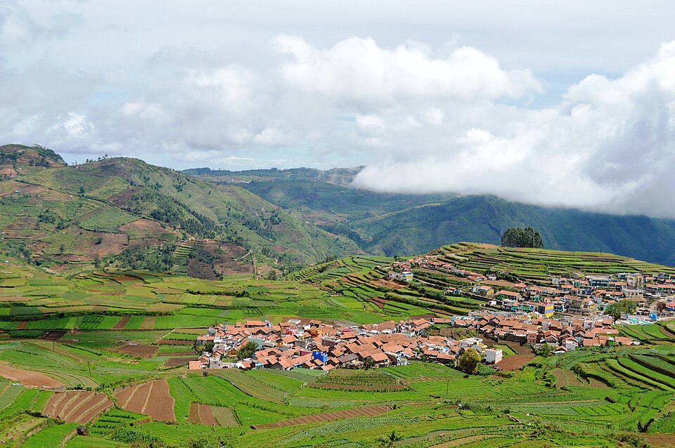 Sunrise over the terraced garlic farms of Poombarai Village, Kodaikanal — an offbeat sunrise viewpoint