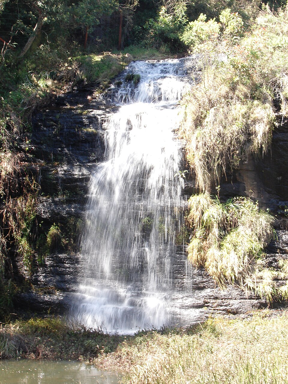 Fairy Falls surrounded by eucalyptus trees in Kodaikanal